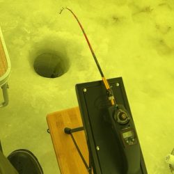 サクラマス釣行前のワカサギ 腕試し