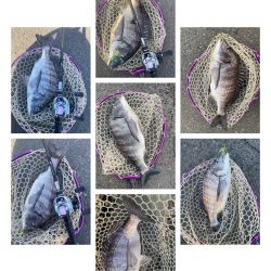 夕まずめチニング！