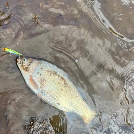 台風なみの爆風にて💨