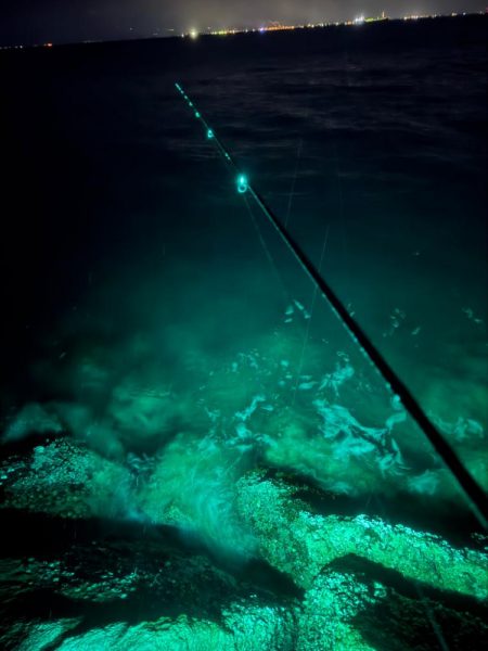 降雪ヤリイカ狙い