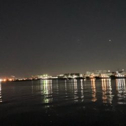 バチの姿は見えないが、バチ食いか?