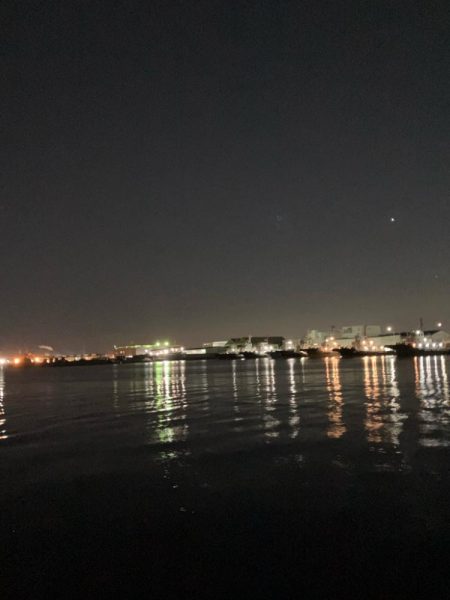 バチの姿は見えないが、バチ食いか?