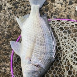 極寒チニング！