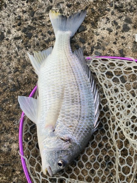 極寒チニング！