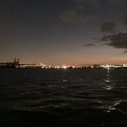 3投目で見事ヒット❗️しかしその後アタリ無し