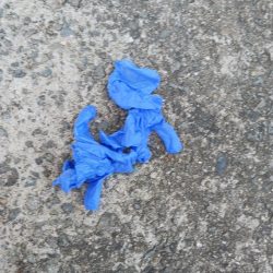 清掃活動：アジングでエサ確保　尺アジもエサ…