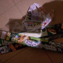 清掃活動：癒し、、、否、極寒のメバル