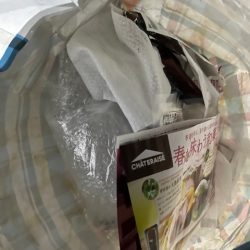 清掃活動：今シーズン最後のタチウオ釣りに行…