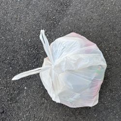 清掃活動：エビ撒きでチヌ釣れてま