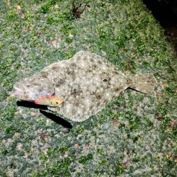 渋渋の中リリースサイズ