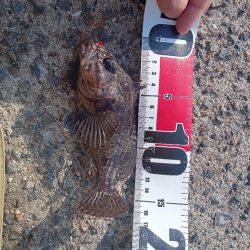 寒の戻り、穴釣り釣行