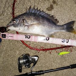 強風のなかなんとかヒット