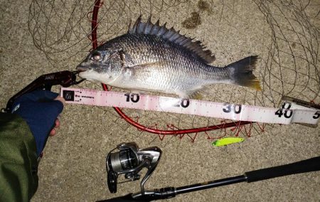 強風のなかなんとかヒット