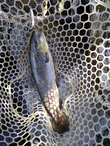 芦ノ湖解禁2日目