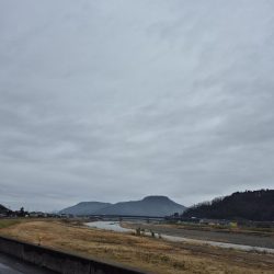 寒い雨で活性低い