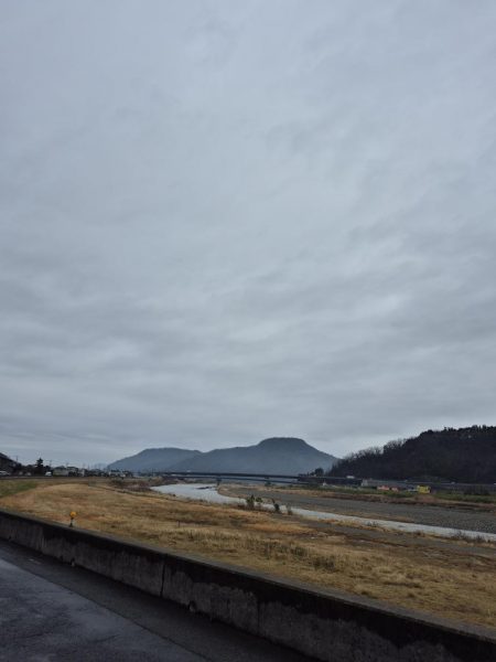 寒い雨で活性低い
