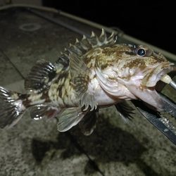 短時間ながら久しぶりの釣行