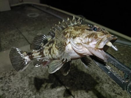 短時間ながら久しぶりの釣行