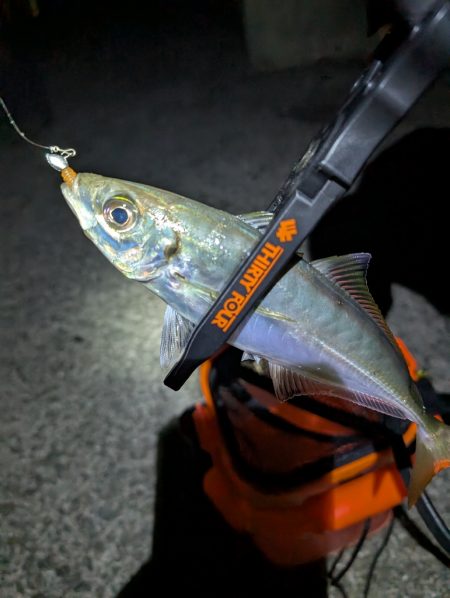 陸っぱり釣行記