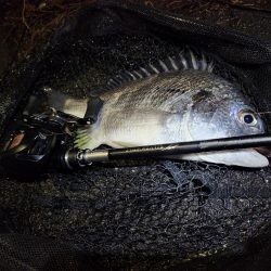 ナイトチニング