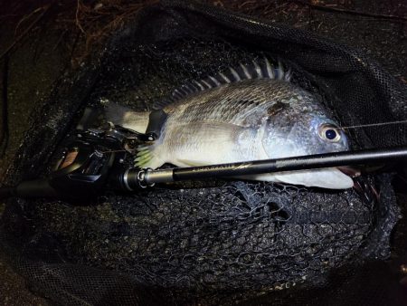 ナイトチニング