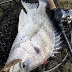 雪チラつく広島チニング