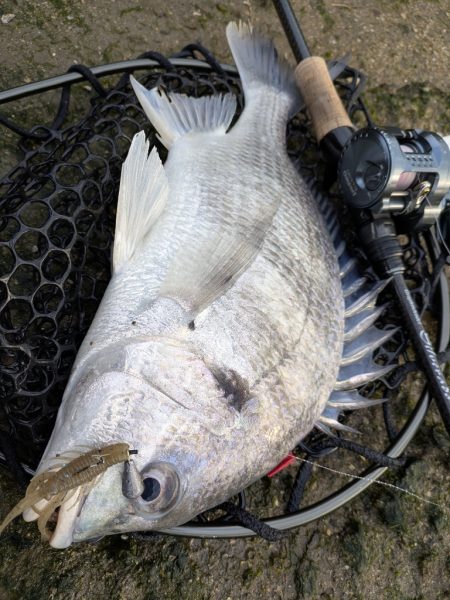 雪チラつく広島チニング