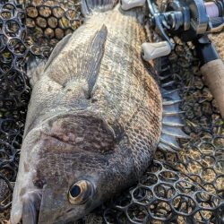 広島東部チニング