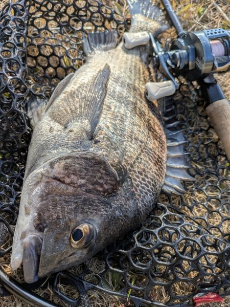 広島東部チニング