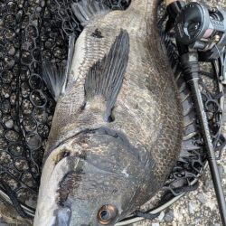 開幕直前？広島チニング