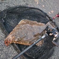 チニングでカレイとマゴチ！