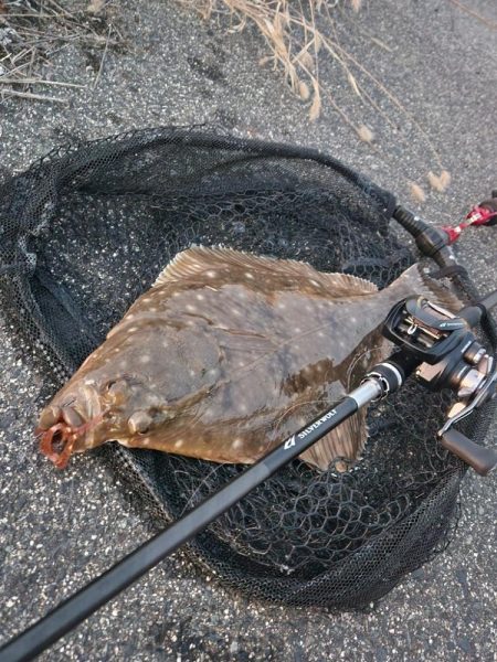 チニングでカレイとマゴチ！
