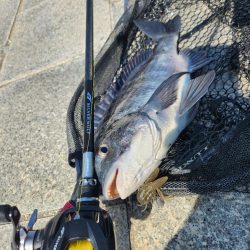 スキマチニング