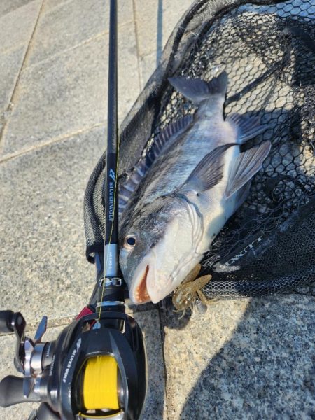 スキマチニング