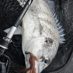 しごおわ短時間チニング