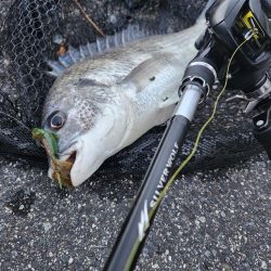 しごおわチニング