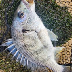 スキマチニング