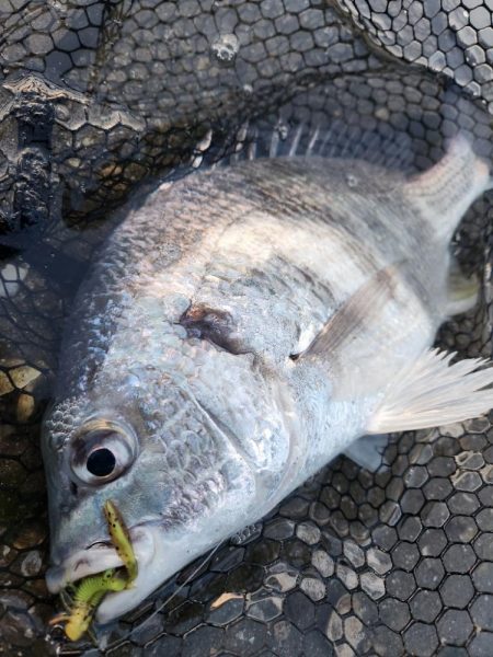 しごおわ１時間