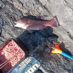 泡の筋が続いている日はやはり釣れない気がする。