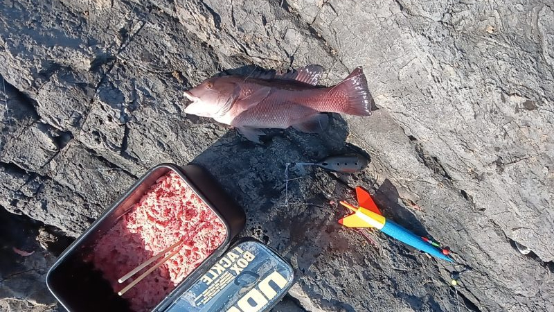 泡の筋が続いている日はやはり釣れない気がする。