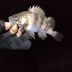 ハンドランディング