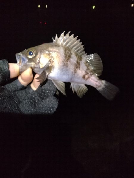 ハンドランディング