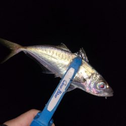 また冬に舞い戻り