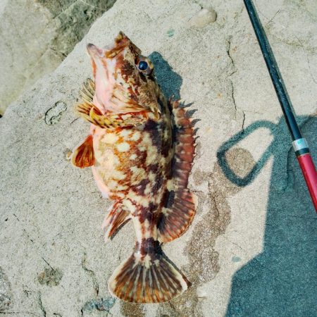 まだキスには早い…