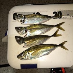 地合いわずか10分