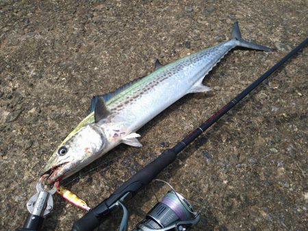 久しぶりの釣果