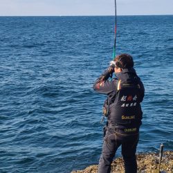 和歌山市江(吉丸渡船)でグレ釣り