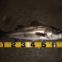 流れの効いたタイミングで