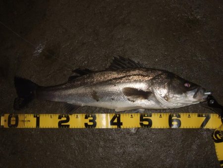 流れの効いたタイミングで