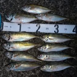 少し足お伸ばして日高まで！